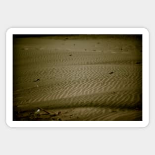 Sand Rippled Beach Sticker